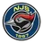 Logo NJS