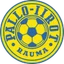 Logo P-Iirot
