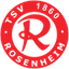 Logo 1860 Rosenheim