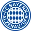 Logo Bayern Alzenau