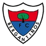 Logo Bergantiños