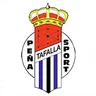 Logo Peña Sport