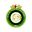 Logo Castellanzese