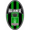 Logo Aglianese