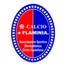 Logo Flaminia