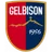 Logo Gelbison
