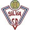Logo Silva