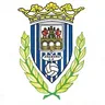 Logo Arandina