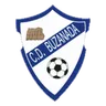 Logo Buzanada