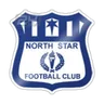 Logo North Star