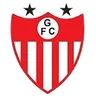 Logo Guarany de Bagé