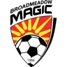 Logo Broadmeadow Magic