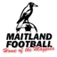 Logo Maitland