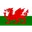 Logo U19 Wales