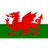Logo U19 Wales