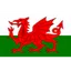 Logo U19 Wales