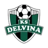 Logo Delvina