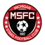 Logo Michigan Stars