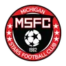 Logo Michigan Stars