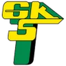 Logo Górnik Łęczna W