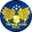 Logo Treowen Stars