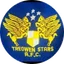 Logo Treowen Stars
