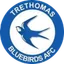 Logo Trethomas Bluebirds