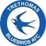 Logo Trethomas Bluebirds