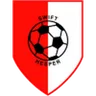 Logo Swift Hesperange