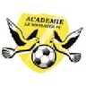 Logo Flambeau du Centre