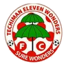 Logo Eleven Wonders