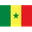 Logo U17 Senegal