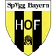 Logo Bayern Hof