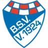 Logo Brinkumer SV