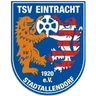 Logo Eintracht Stadtallendorf