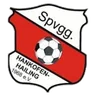 Logo Hankofen-Hailing