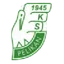 Logo Pelikan Łowicz