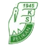 Logo Pelikan Łowicz