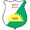 Logo Swit
