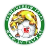 Logo Telfs