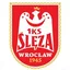 Logo Ślęza Wrocław