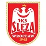 Logo Ślęza Wrocław