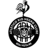 Logo Rio Negro RR