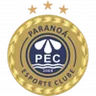 Logo Paranoá