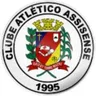 Logo Assisense U20