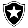 Logo Botafogo SP U20
