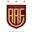 Logo Flamengo SP U20