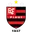 Logo Flamengo PI