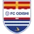 Logo Odishi 1919