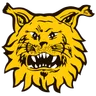 Logo Ilves W